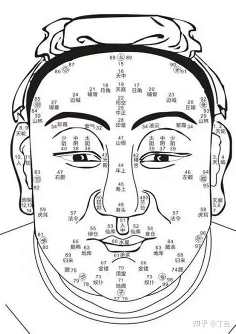 草里藏珠|面相学之眉毛篇